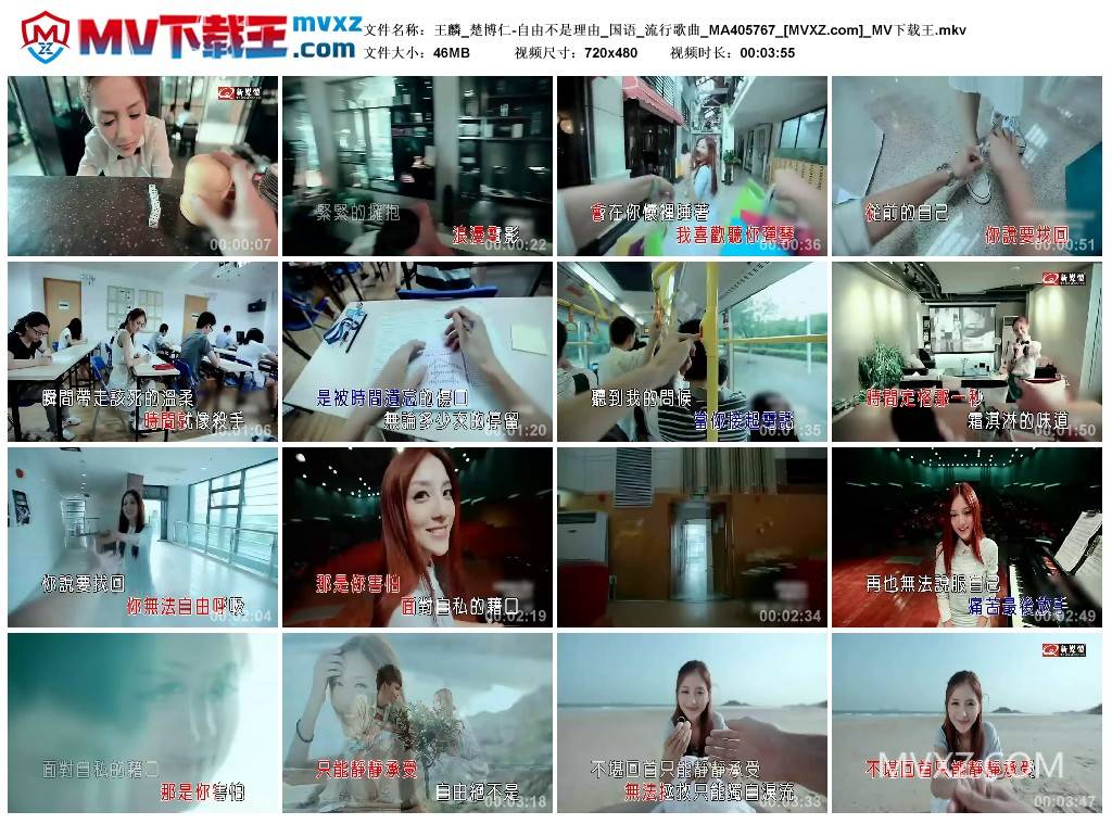 王麟_楚博仁-自由不是理由_国语_流行歌曲_MA405767